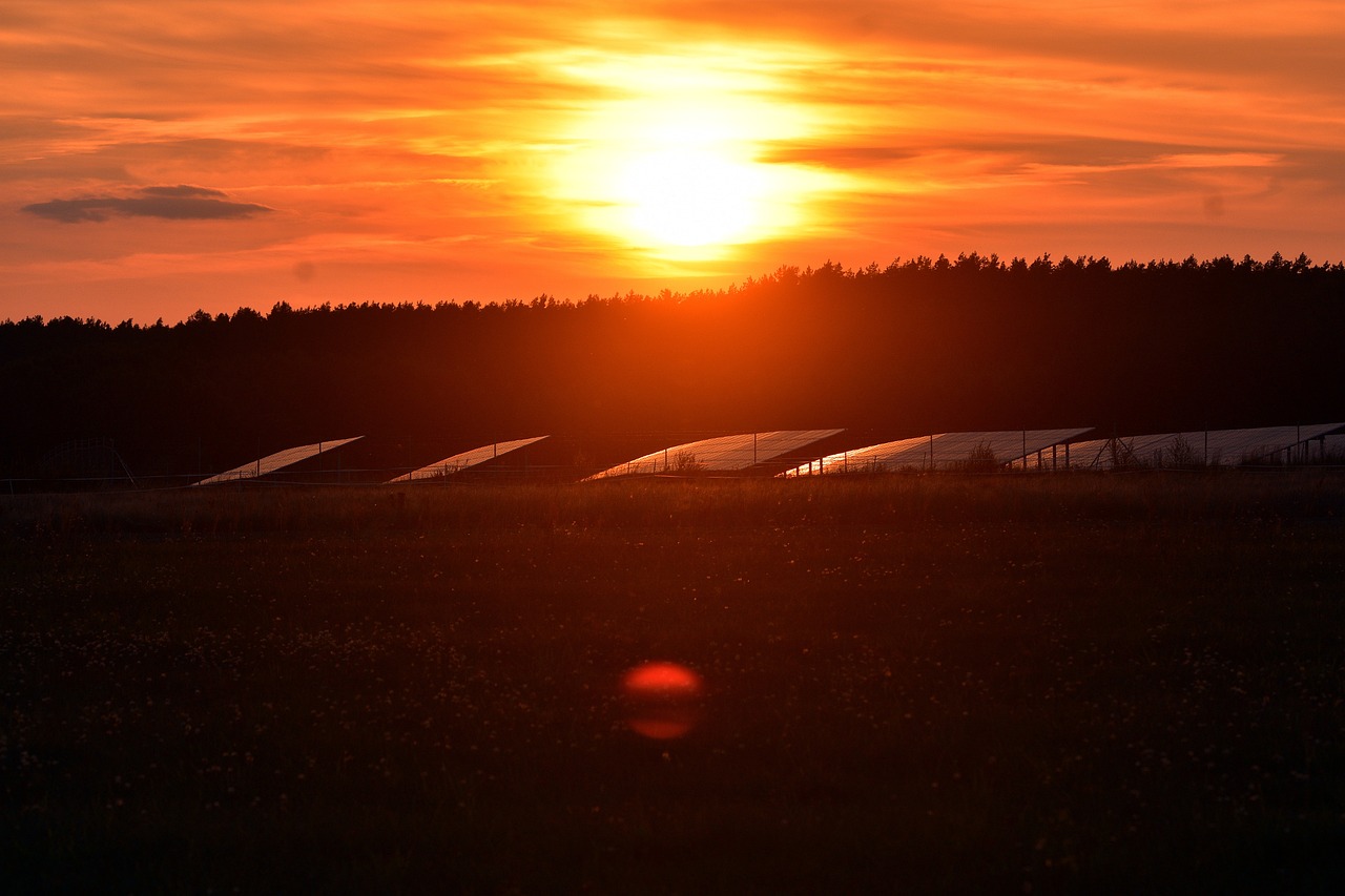 nature, sunset, solar panels-6602982.jpg